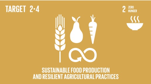 Sustainable Food Production