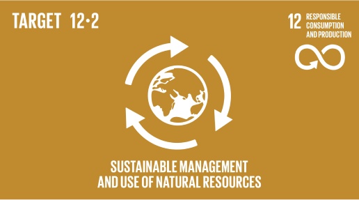 Sustainable Management