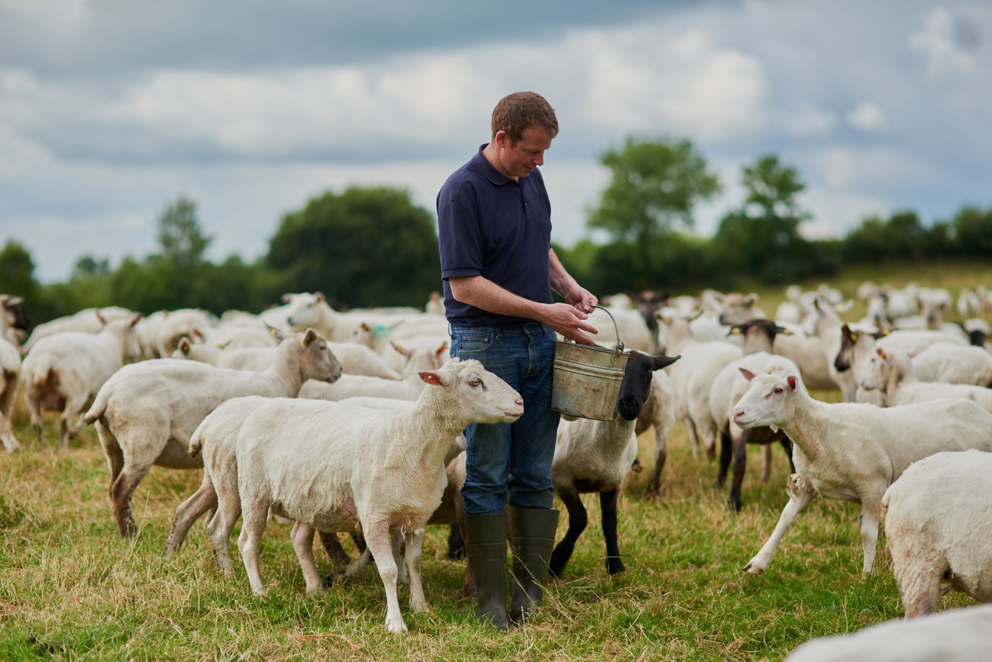 Farming