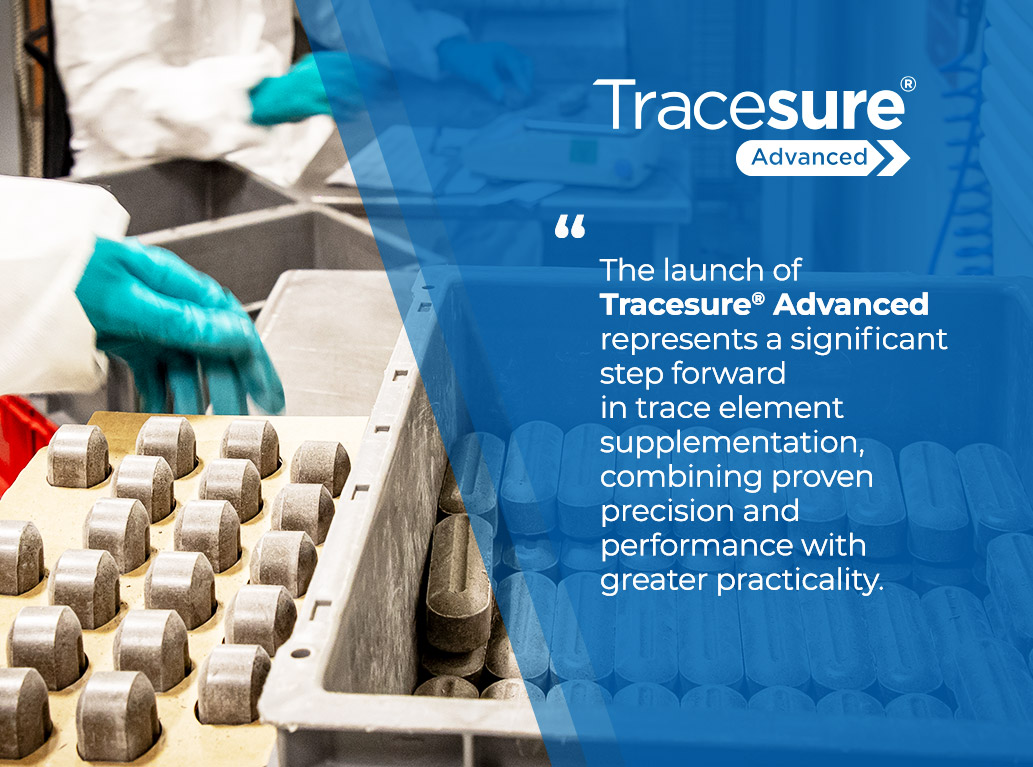 Fevara Ta Launch 02 V3 1