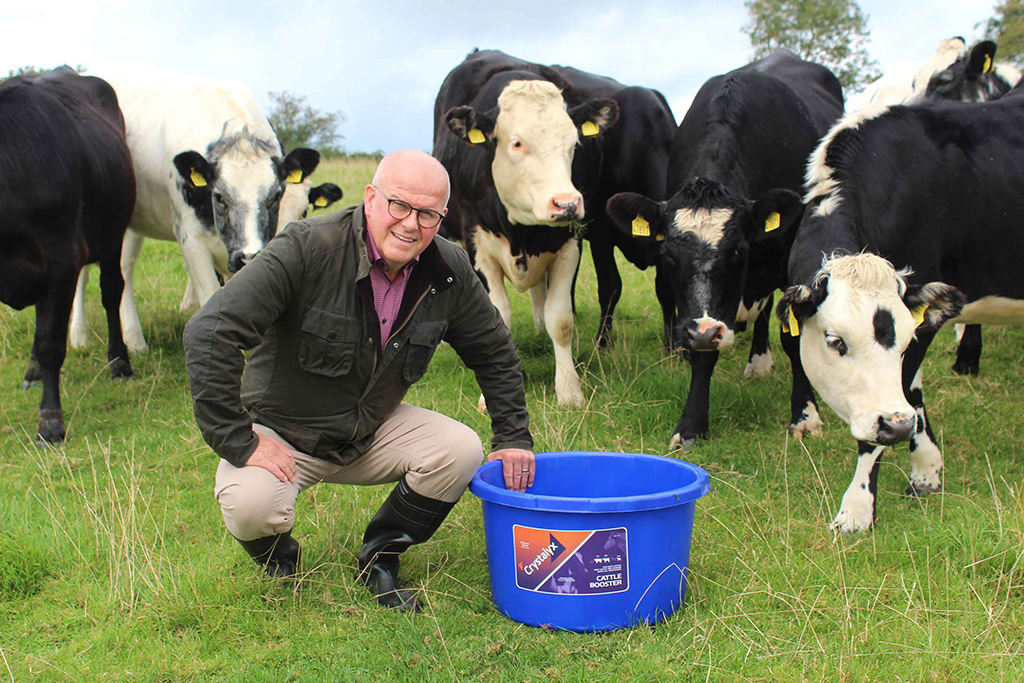 Crystalyx Cattle Booster With Crystalyx Area Sales Manager David Morgan