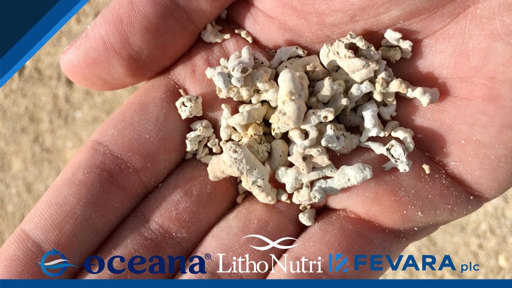 Lithonutri Fevara Oceana